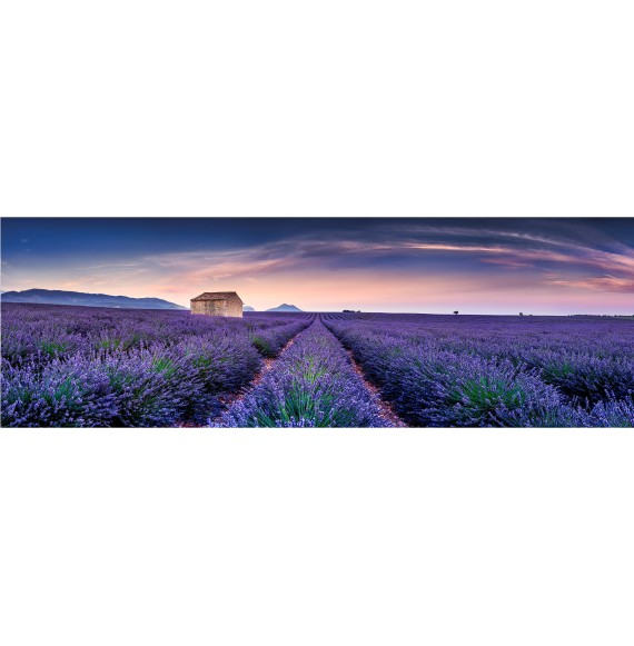 Lavendelfeld in der Provence Fine Leinwand. Süd-Frankreich. in Panorama - Provence Wandbild Art