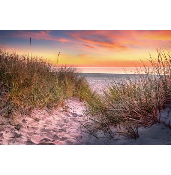 Fine Leinwand. an der Ostsee Wandbild Darß - Strand Art im Sonnenaufgang. warmen